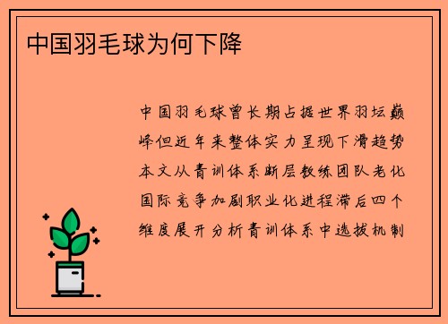 中国羽毛球为何下降