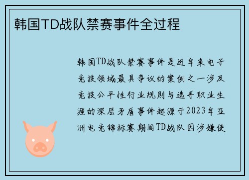 韩国TD战队禁赛事件全过程