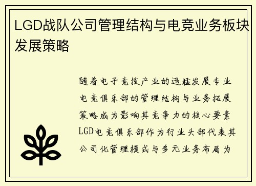 LGD战队公司管理结构与电竞业务板块发展策略