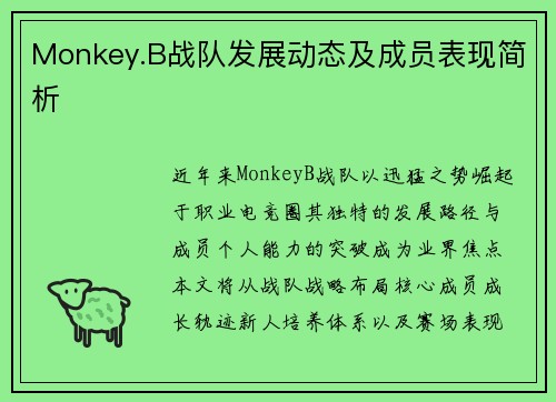 Monkey.B战队发展动态及成员表现简析